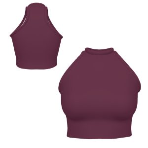 Sleeveless High Neck Crop Tank Top